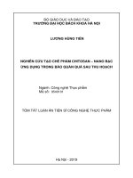 Nghiên cứu tạo chế phẩm chitosan – Nano Bạc ứng dụng trong bảo quản quả sau thu hoạch tt