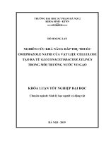 Nghiên cứu khả năng hấp thụ thuốc omeprazole natri của vật liệu cellulose tạo ra từ gluconacetobacter xylinus trong môi trường nước vo gạo 