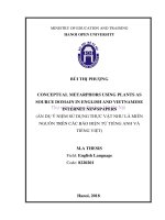 Conceptual metaphors using plants as source domain in english and vietnamese internet newspapers 