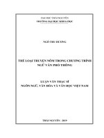 Thể loại truyện Nôm trong chương trình ngữ văn phổ thông (Luận văn thạc sĩ)
