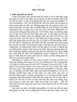 Phát hiện người lành mang gen bệnh và chẩn đoán trước làm tổ bệnh hemophilia A bằng kỹ thuật microsatellite DNA tt