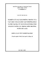 Luận Văn Giáo Dục Sư Phạm Nghiên cứu sự giải phóng thuốc của vật liệu cellulose nạp oprazole natri tạo ra từ Gluconacetobacter xylinus nuôi cấy trong môi trường nước dừa già