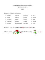ĐỀ bồi DƯỠNG học SINH GIỎI TIẾNG ANH 3