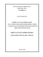 Luận Văn Giáo Dục Sư Phạm Nghiên cứu sự giải phóng thuốc của vật liệu cellulose nạp diclofenac natri tạo ra từ Gluconacetobacter xylinus nuôi cấy trong môi trường chuẩn