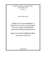 Luận Văn Giáo Dục Sư Phạm Nghiên cứu đa dạng sinh học và phân bố của Ve Giáp tại đất trồng bầu sao tại khu Giọc Dầu thuộc xã Tiền Phong, huyện Mê Linh, Thành Phố Hà Nội