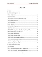 Nghiên cứu chế tạo và tính chất từ của hạt nano FePd