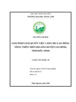 Giải pháp giải quyết việc làm cho lao động nông thôn trên địa bàn huyện gia bình, tỉnh bắc ninh 