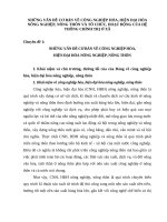 Tiểu Luận Những vấn đề cơ bản nhất về Công nghiệp hóa Hiện đại hóa Nông nghiệp Nông thôn