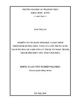 Luận Văn Giáo Dục Sư Phạm Nghiên cứu đa dạng sinh học và đặc điểm nhóm dinh dưỡng chức năng của côn trùng nước tại suối chảy qua khu dân cư thuộc