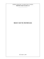 BAO CAO TU DANH GIA (dang sua)