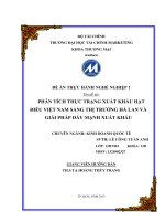 PHÂN TÍCH THỰC TRẠNG XUẤT KHẨU HẠT ĐIỀU VIỆT NAM SANG THỊ TRƢỜNG HÀ LAN VÀ GIẢI PHÁP ĐẨY MẠNH XUẤT KHẨU