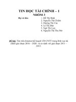 TIN HOC TAI CHINH 1   NHOM 3