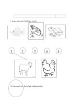 ÔN tập PHONICS lớp 1 