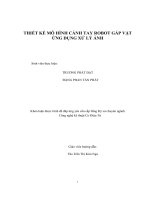 THIẾT KẾ MÔ HÌNH CÁNH TAY ROBOT GẤP VẬT ỨNG DỤNG XỬ LÝ ẢNH