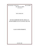 luận văn Kế toán chi phí môi trường trong các doanh nghiệp sản xuất xi măng Việt Nam