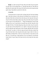 Tiểu luận về Luật tổ chức VKS và công tác kiểm sát