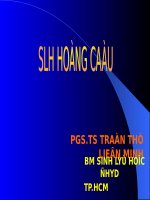 Sinh lý hồng cầu