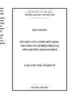 Tổ chức lực lƣợng bán hàng tại công ty cổ phần nhựa và môi trƣờng xanh an phát