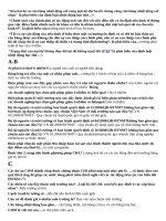 Dap an kinh tế môi trường 2019