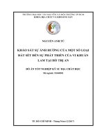 Khảo sát sự ảnh hưởng của một số loại đất sét đến sự phát triển của vi khuẩn lam tại hồ trị an 