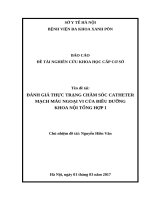 ĐÁNH GIÁ THỰC TRẠNG CHĂM SÓC CATHETER MẠCH MÁU NGOẠI VI CỦA ĐIỀU DƯỠNG KHOA NỘI TỔNG HỢP I