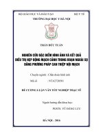 NGHIÊN cứu đặc điểm HÌNH ẢNH và kết QUẢ điều TRỊ hẹp ĐỘNG MẠCH CẢNH TRONG đoạn NGOÀI sọ BẰNG PHƯƠNG PHÁP CAN THIỆP nội MẠCH 