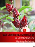 Kế hoạch marketing phát triển sản phẩm mới  Trà Hibicus Tea