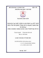 NGHIÊN cứu đặc điểm HÌNH ẢNH và kết QUẢ điều TRỊ rò ĐỘNG TĨNH MẠCH MÀNG CỨNG nội sọ NGOÀI VÙNG XOANG HANG BẰNG CAN THIỆP nội MẠCH 