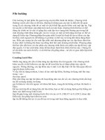 Bao cao lap trinh he thong File locking