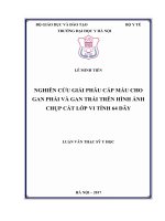 NGHIÊN cứu GIẢI PHẪU cấp máu CHO GAN PHẢI và GAN TRÁI TRÊN HÌNH ẢNH CHỤP cắt lớp VI TÍNH 64 dãy 