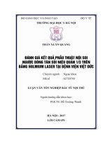 ĐÁNH GIÁ kết QUẢ PHẪU THUẬT nội SOI NGƯỢC DÒNG tán sỏi NIỆU QUẢN 13 TRÊN BẰNG HOLMIUM LASER tại BỆNH VIỆN VIỆT đức 