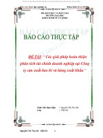 Cac giai phap hoan thien phan tich tai chinh doanh nghiep tai cong ty san xuat bao bi va hang xuat khau