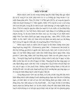 Nghiên cứu mối liên quan giữa các yếu tố nguy cơ với mức độ tổn thương động mạch vành bằng chụp cắt lớp vi tính 256 dãy hai bóng phát tia ở bệnh nhân tăng huyết áp 