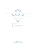 BÁO cáo LAB môn lập trình hệ thống nhúng