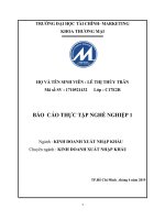 Báo cáo thực hành nghề nghiệp 1