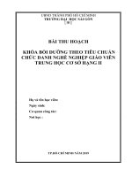 Bài tiểu luận chức danh nghề nghiệp hạng 2 câu 3