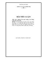 BÀI TIỂU LUẬN ĐƯỜNG LỐI CÁCH MẠNG CỦA ĐẢNG CỘNG SẢN VIỆT NAM
