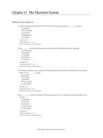 Test bank for fundamentals of anatomy and physiology 11e  c11