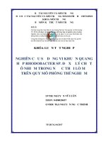 Nghiên cứu khả năng xử lý chất hữu cơ và sulfide trong nước thải lò mổ của vi khuẩn rhodobacter trên quy mô phòng thí nghiệm 