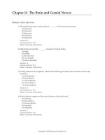 Test bank for fundamentals of anatomy and physiology 11e  c14