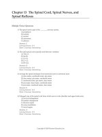 Test bank for fundamentals of anatomy and physiology 11e  c13