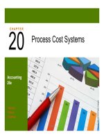 Accounting26th ch 20