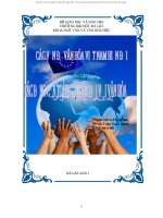 Bai tieu luan cac van de van hoa viet nam hien dai 