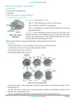 www thuvienhoclieu com bai tap chuong IV nguyen phan giam phan 
