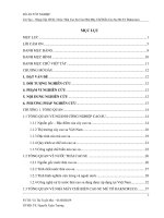 Cải tạo   nâng cấp hệ thống xử lý nước thải cao su của nhà máy chế biến cao su mủ tờ đaknoruco 