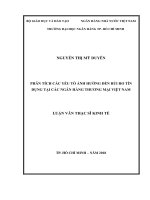 Phân tích các yếu tố ảnh hưởng đến rủi ro tín dụng tại các ngân hàng thương mại việt nam 