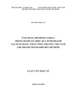 Ứng dụng mô hình camels trong đánh giá hiệu quả kinh doanh tại ngân hàng TMCP công thương việt nam   chi nhánh thành phố hồ chí minh 