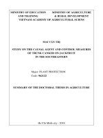 Nghiên cứu tác nhân gây bệnh và biện pháp phòng trừ bệnh thối thân chảy nhựa trên cây mít ở miền đông nam bộ tt tiếng anh 