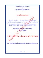 Quản lý rủi ro tín dụng doanh nghiệp tại Ngân hàng Thương mại cổ phần Đầu tư và Phát triển Việt Nam  Chi nhánh Mỹ Tho