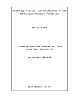 Năng lực tài chính ngân hàng thương mại cổ phần đầu tư và phát triển việt nam 